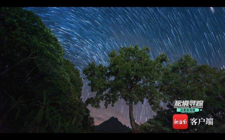 沪江开心词场