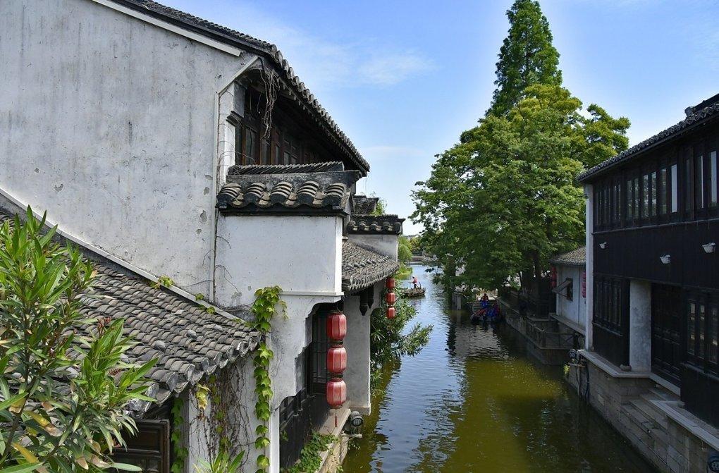 琴覆天下
